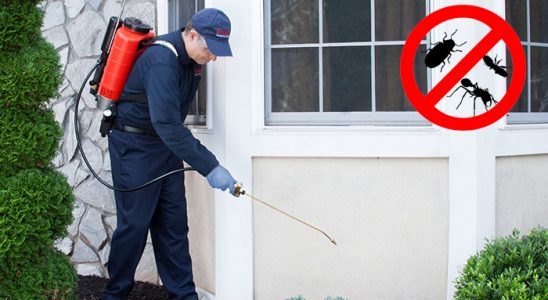 Sason Kene İlaçlama böcek ilaçlama ve haşere kontrolü — ilaclama-tr.com